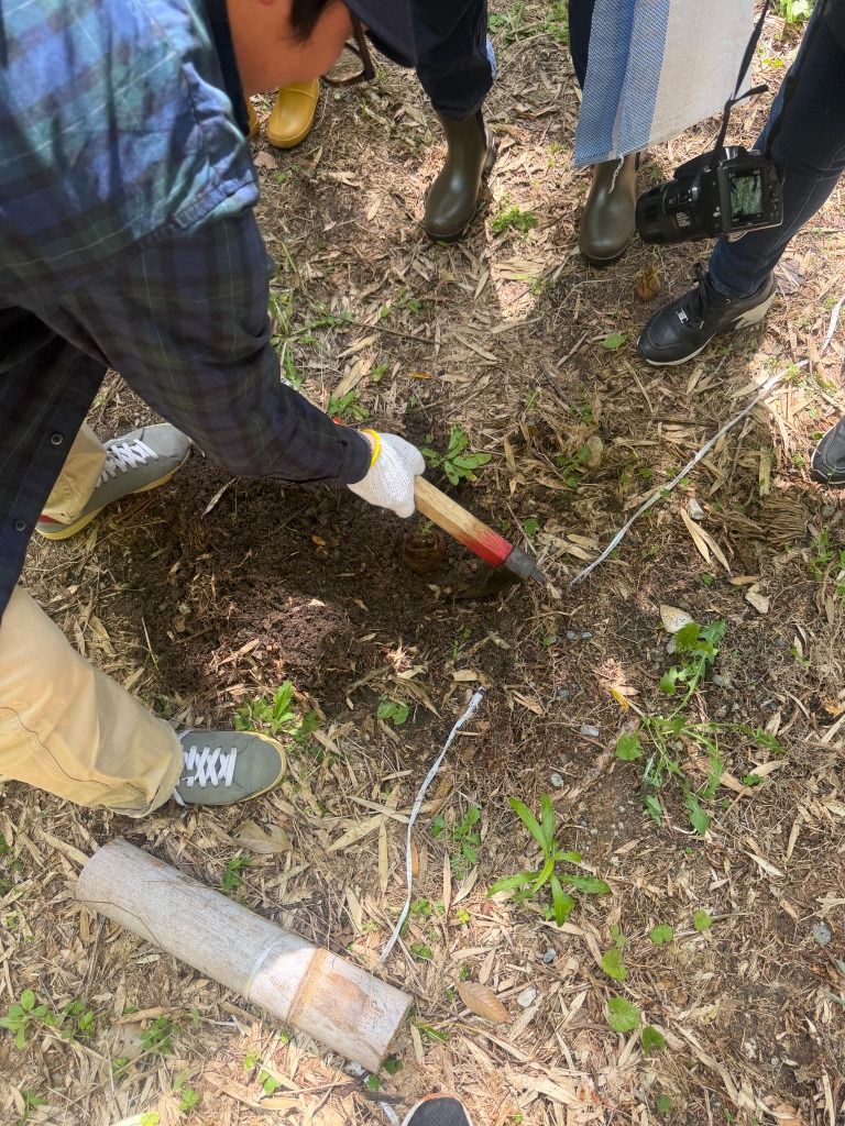 鍬を使ってタケノコを掘る参加者